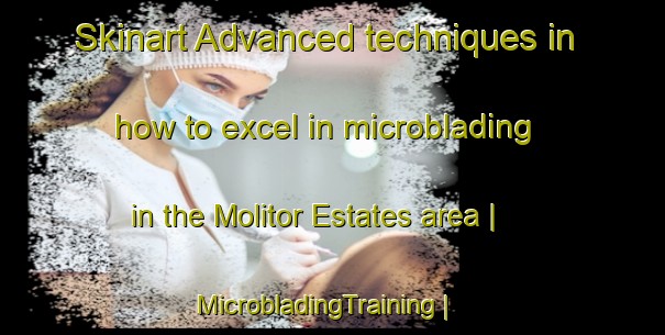 Skinart Advanced techniques in how to excel in microblading in the Molitor Estates area | MicrobladingTraining | MicrobladingClasses | SkinartTraining-United States